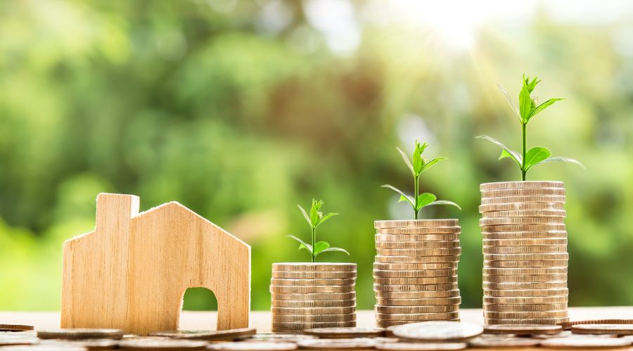 Insurance Guides and Resources