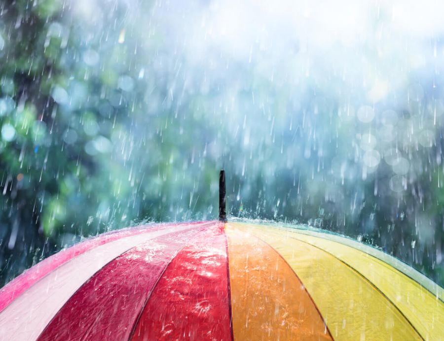 Insurance Guides and Resources