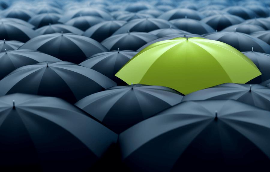 Insurance Guides and Resources